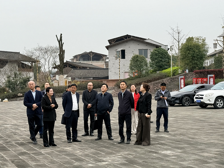 1773043740826038.png 图片1.png